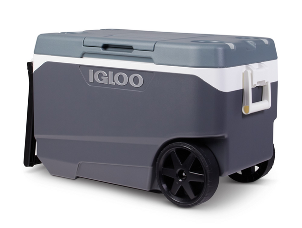 Igloo-1.png 