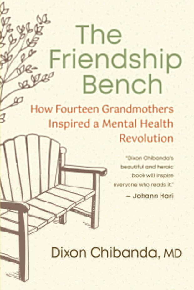 Friendship Basics Book Covers the New World library.jpg 