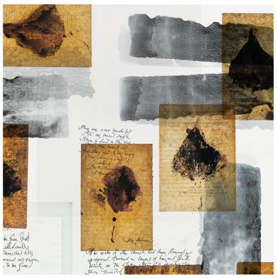 Mixed media collage showing black and white steak with leaf impressions and text. 