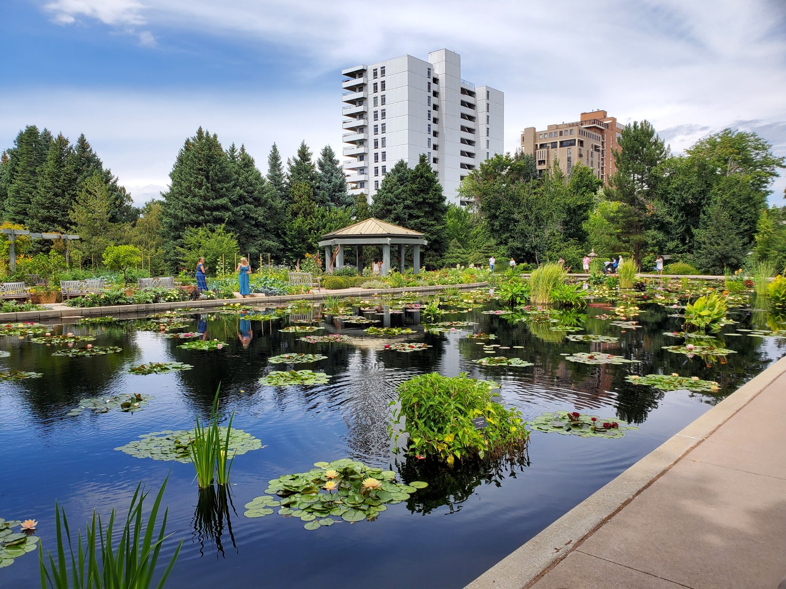 Images may contain natural outdoor pond waterscape grass park botanical garden people city and architecture