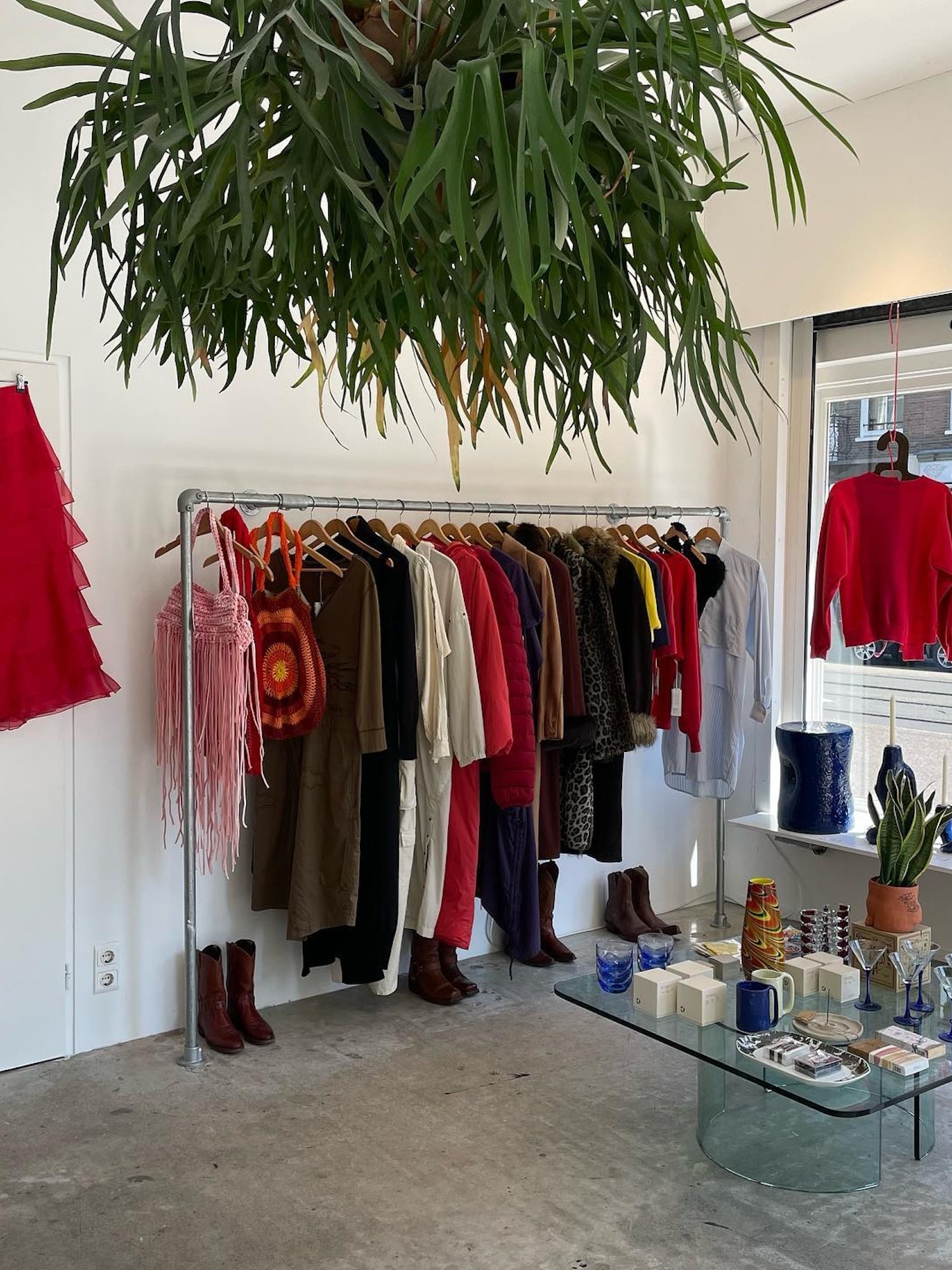 Images may contain plant clothing footwear shoes furniture indoor cup human plate human plate adult boutiques and shops