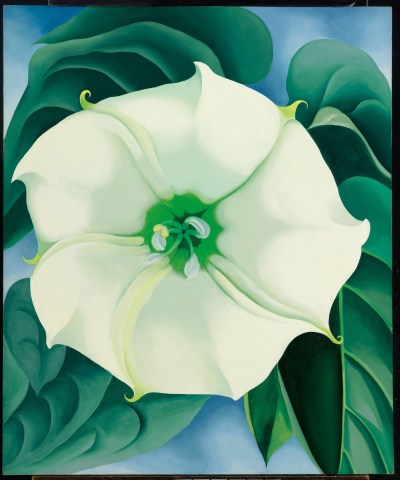 Georgia O'Keeffe, Jimson Weed/White Flower No. 1, 1932