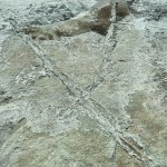 Resistance marks made of Travois of two parallel ridges.