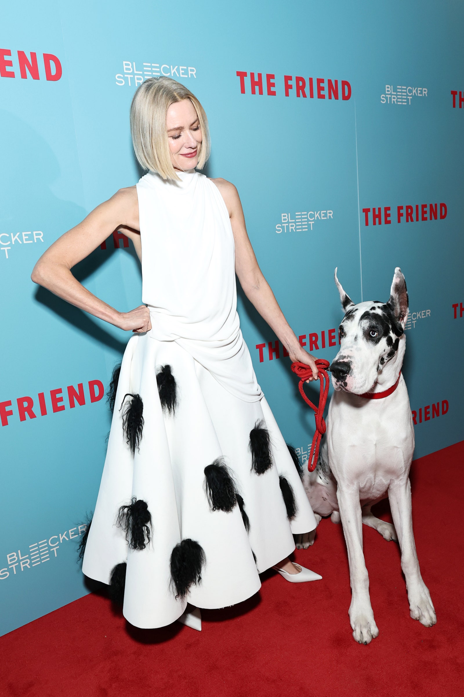 Images may contain Naomi Watts Fashion Adult Animals Dogs Mammal Pets and Premiere