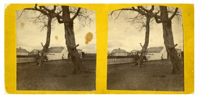 Two old-looking photographs of trees and houses.