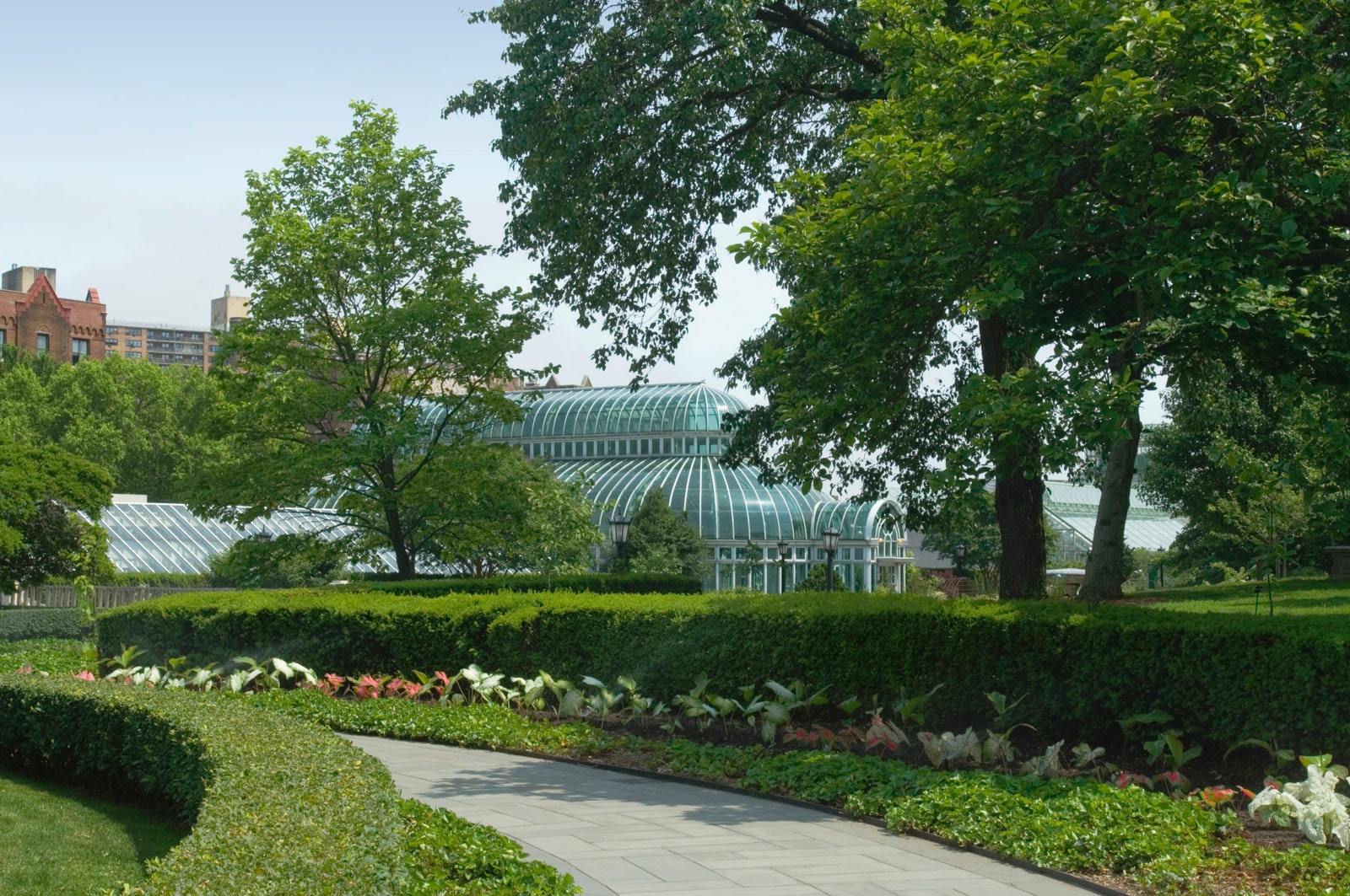 Image may contain grass nature outdoor park botanical garden fence hedge vegetation city and trees