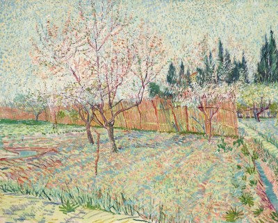 Vincent van Gogh, Orchard with Cypresses, 1888