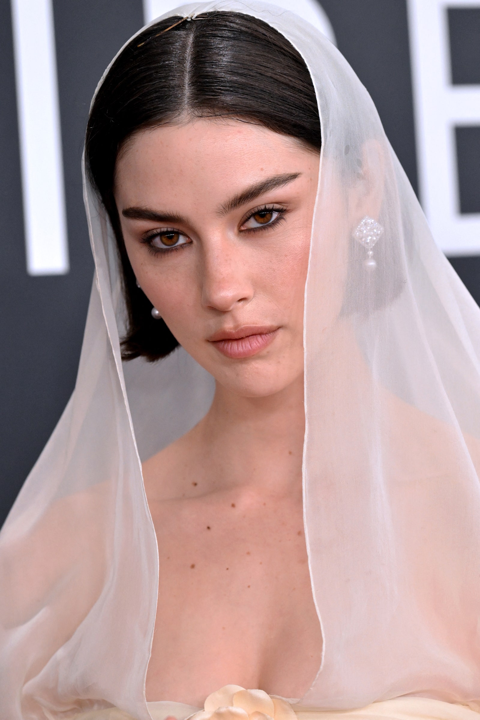 Image may contain clothing veil bride veil dress fashion formal wear dress man wedding and wedding dress