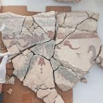 The hand of the glove holds the metal instrument on several murals from the fifth century.