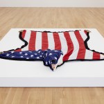 Nicholas Galanin, American Dream is Alie and Well, 2012.