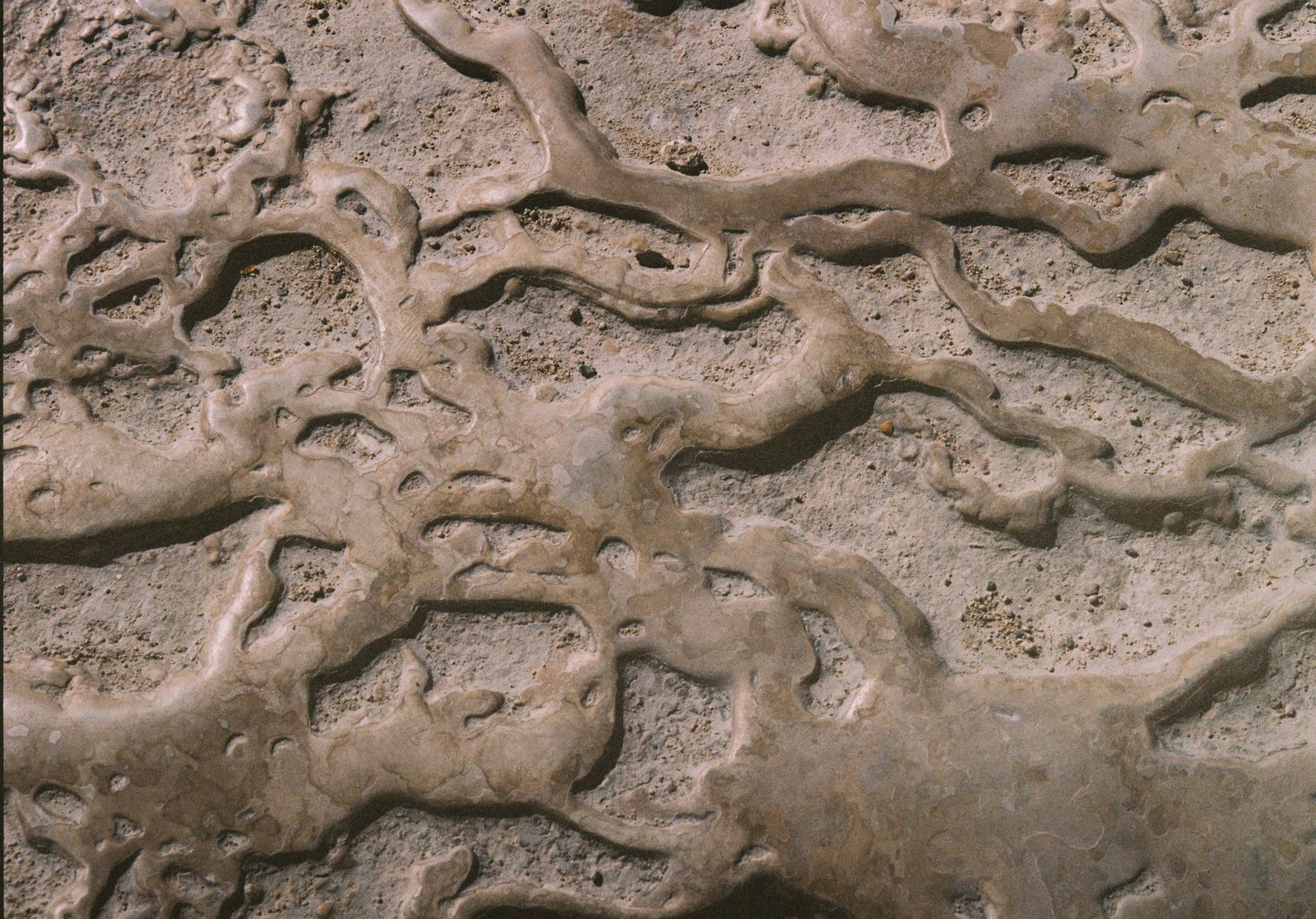 Images may contain rocky ground and outdoors