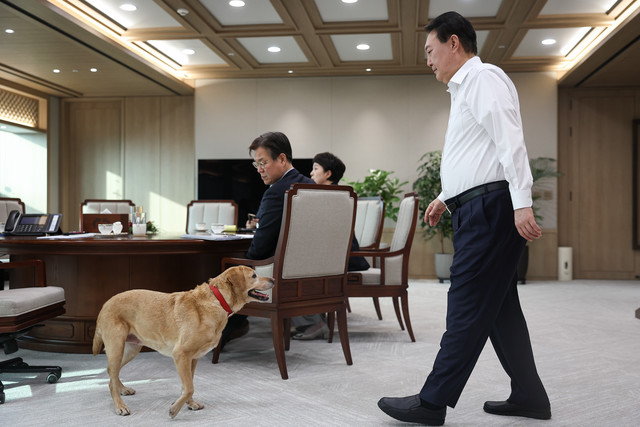 South Korea's former couple are going to get 11 pets when they move out of the president's residence on Friday