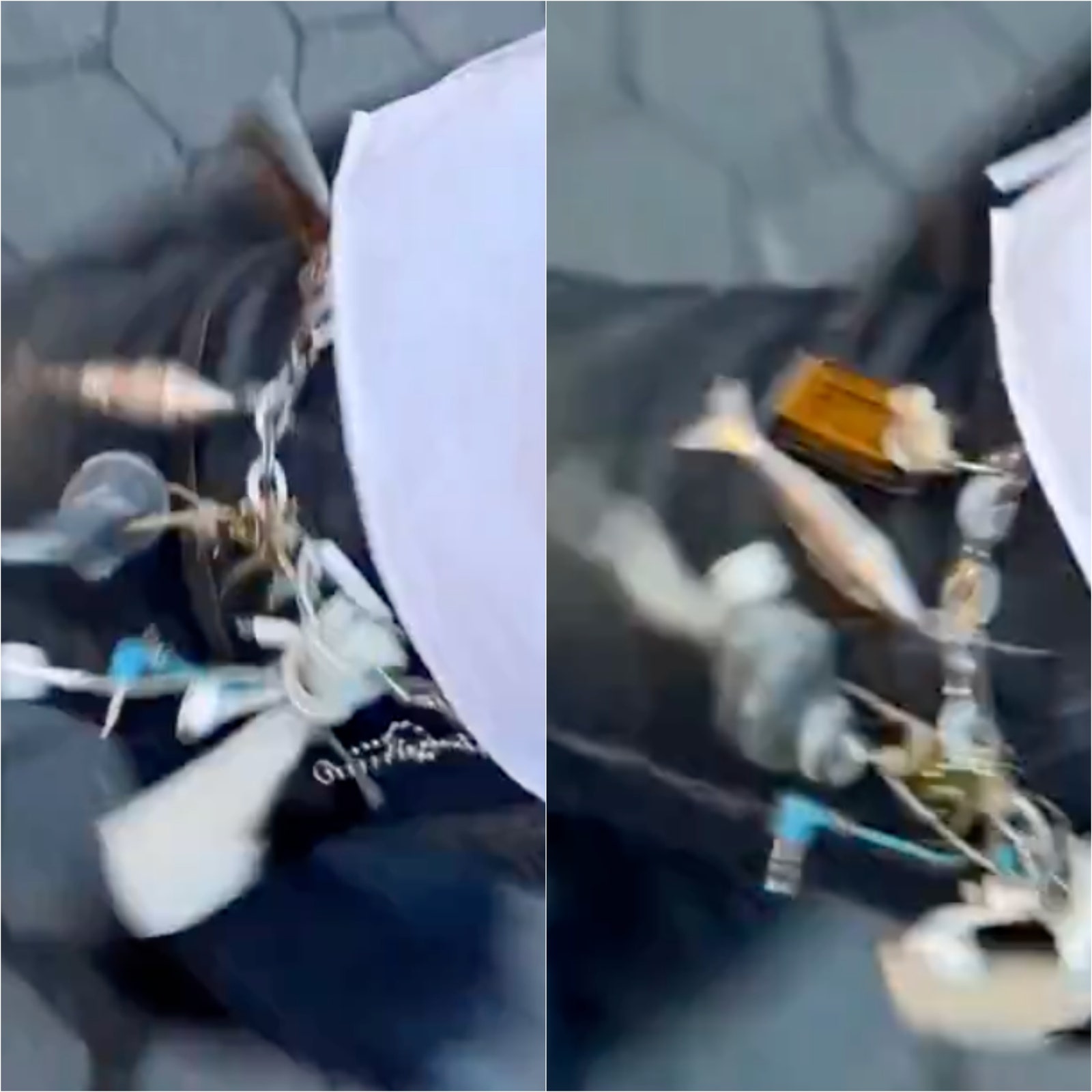 Images may contain animal bees invertebrate wasp mortar and weapons
