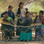 A group of women, some seats and others standing, produces a weave in the forest.