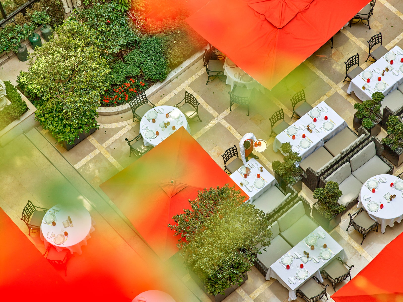 Image may contain chairs, furniture, dining table, plant, indoor dining terrace, grass and table