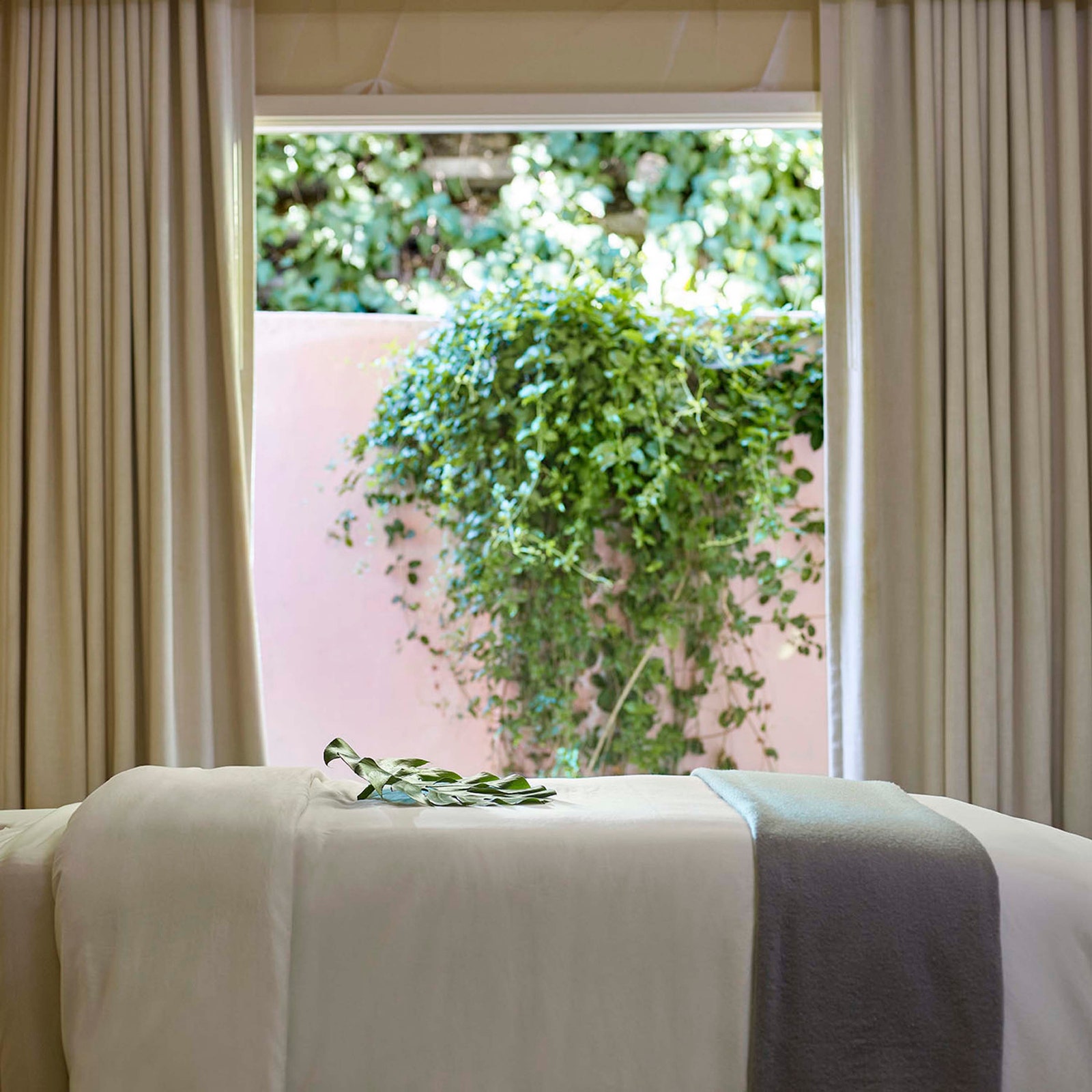 Images may contain plant plant bed furniture windows and spa