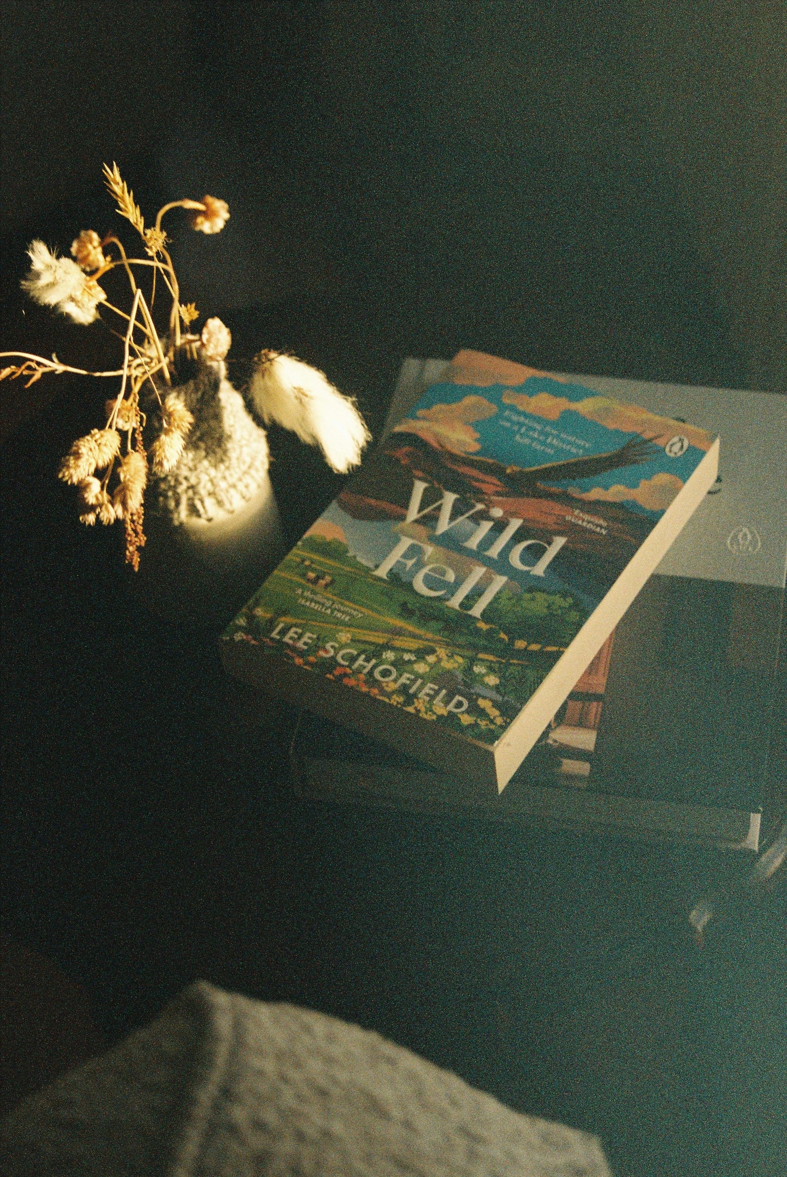 Images may contain books and publications