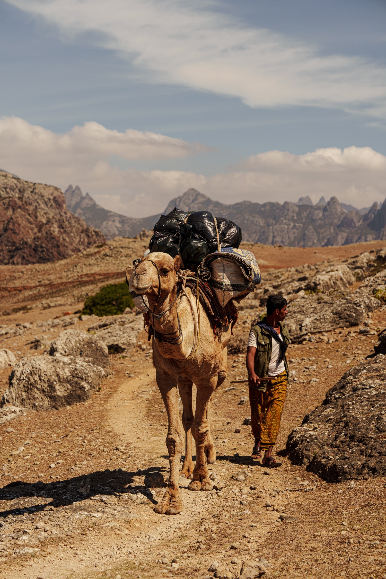 Images may contain bags of adult backpacks and shoes