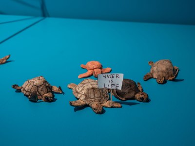 Install paper turtles on blue platform. A person's logo says 