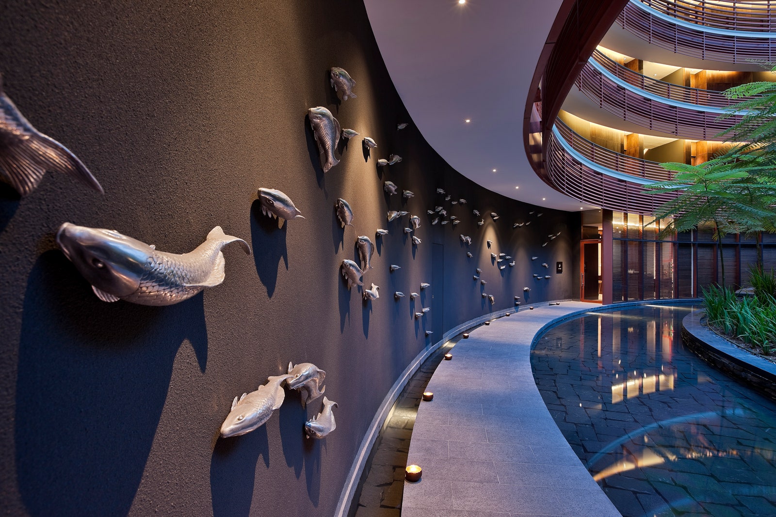 Images may contain indoor pools, swimming pools, animals, fish life and city