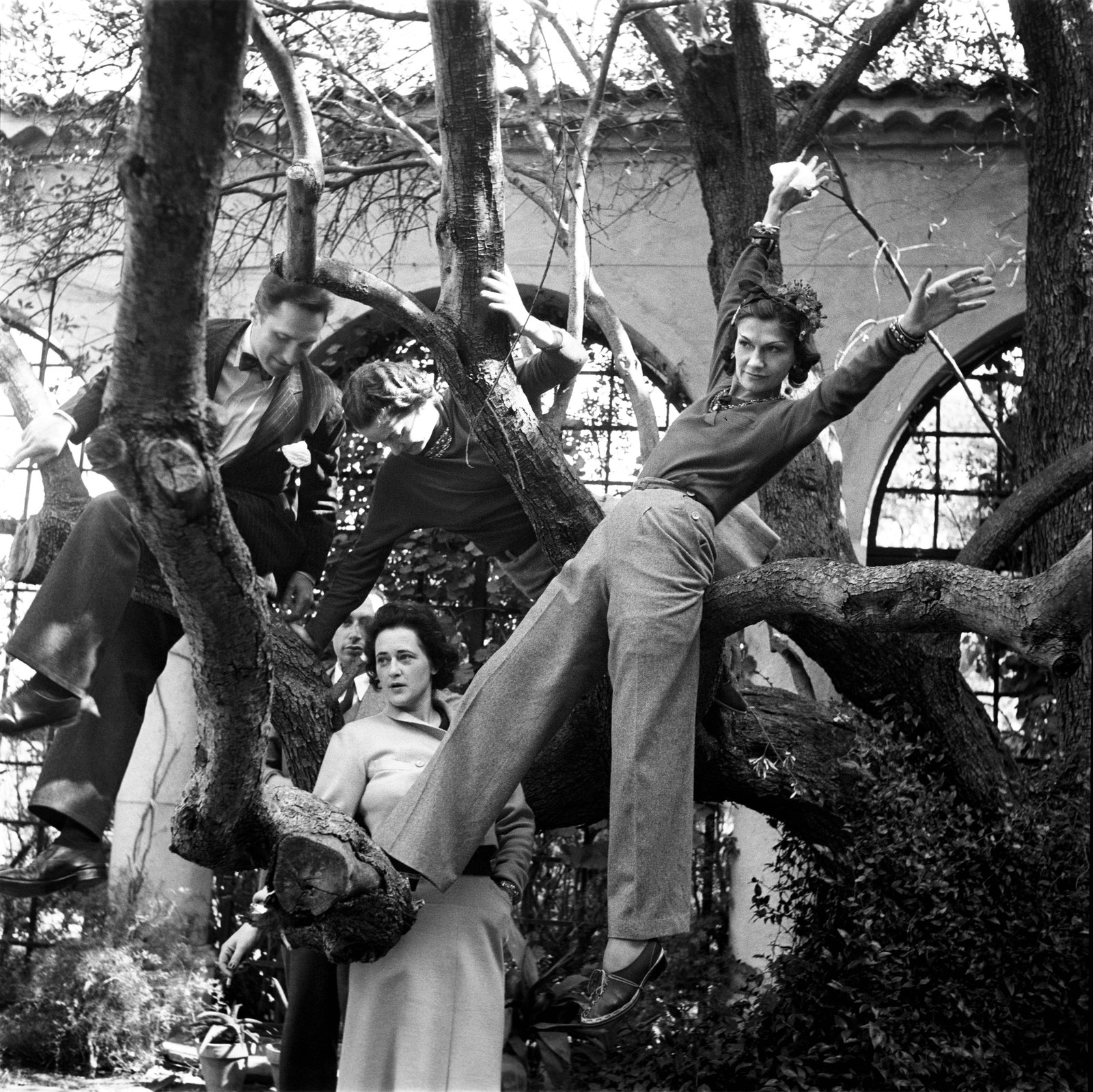Images may contain face man photography portrait of Coco Chanel Jacques Rigaut plant tree clothes and pants