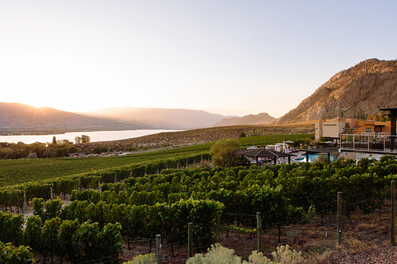 Images may contain outdoor countryside and nature in vineyards