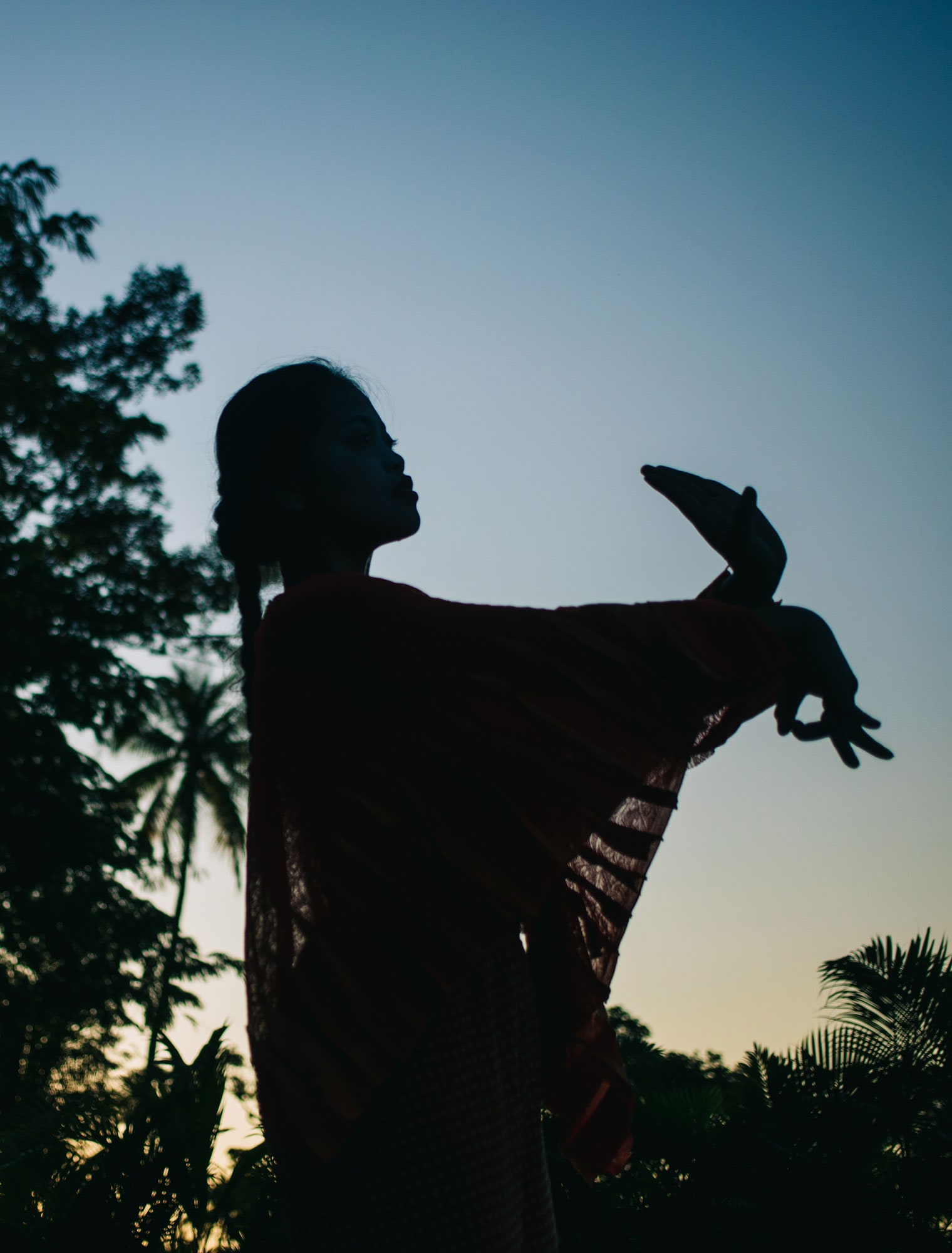 Images may contain silhouette photography plant tree palm tree adult face portrait and vegetation