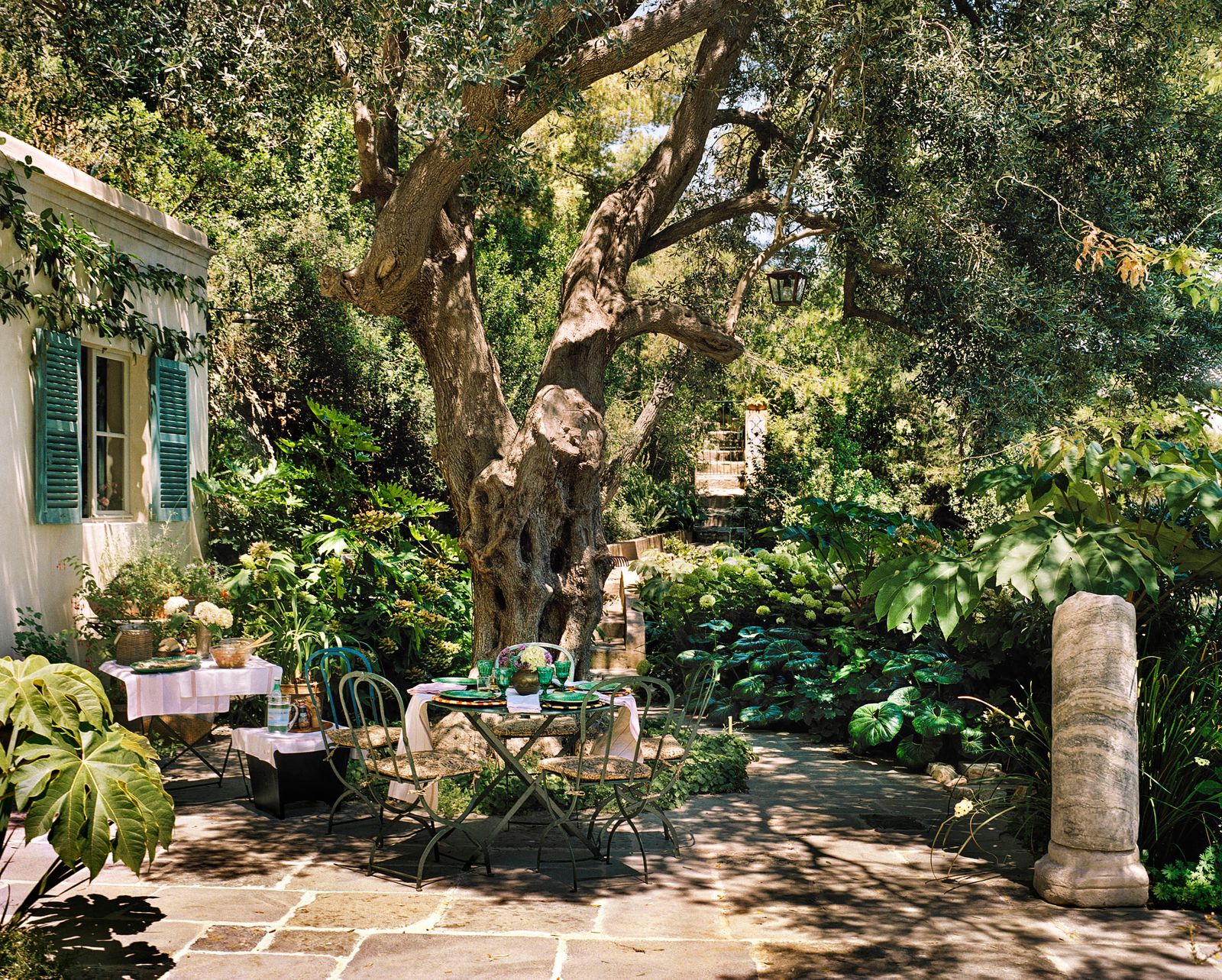 Images may contain plant trees backyard natural outdoor yard path sidewalk building building house and housing