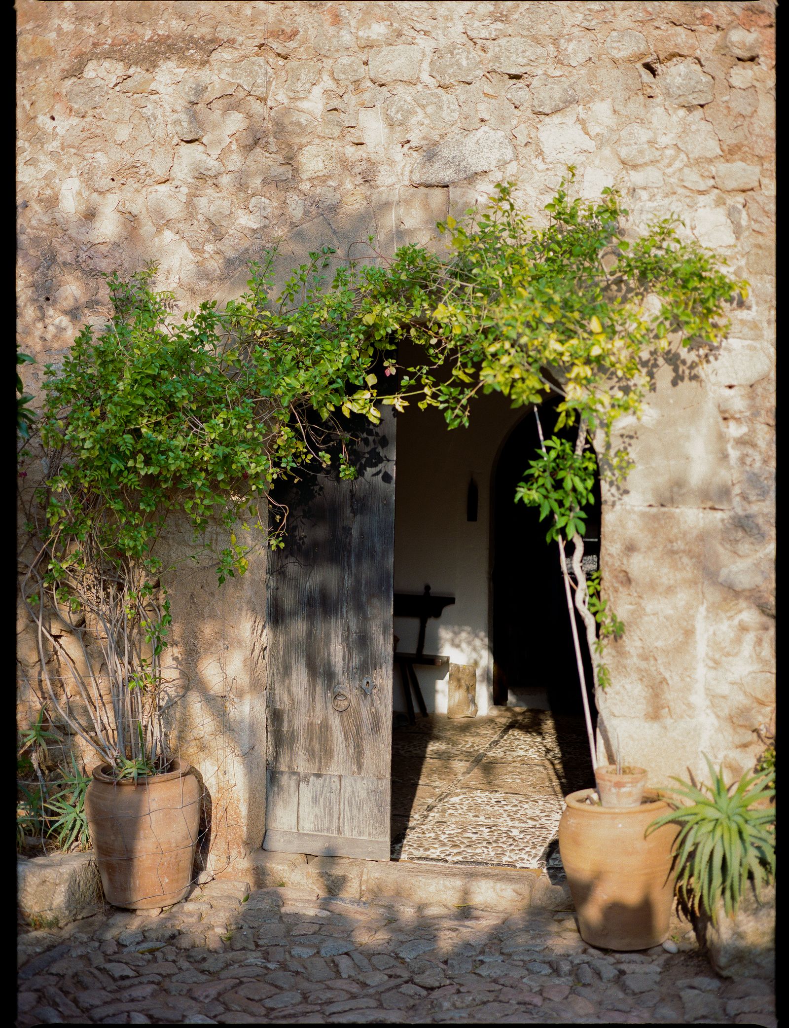 Images may contain paths walking paths slate cookware road plants potted plants buildings and walls