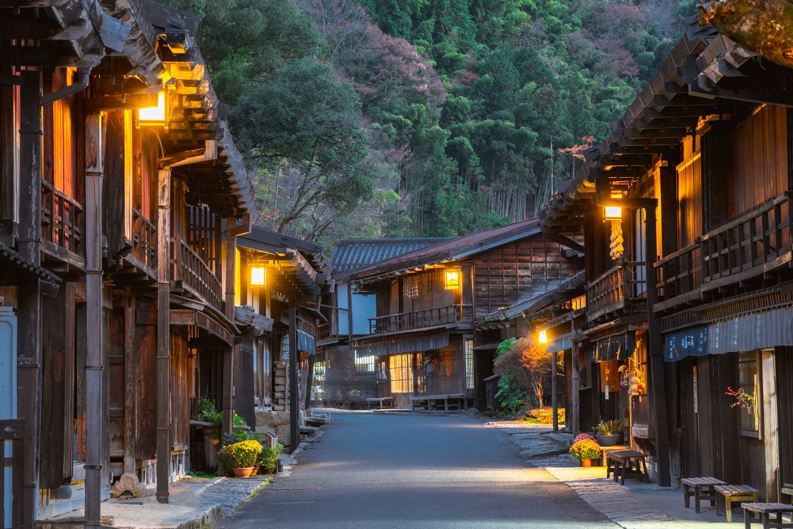 Images may contain urban roads, streets, urban alleys, outdoor natural plants, rural buildings and buildings