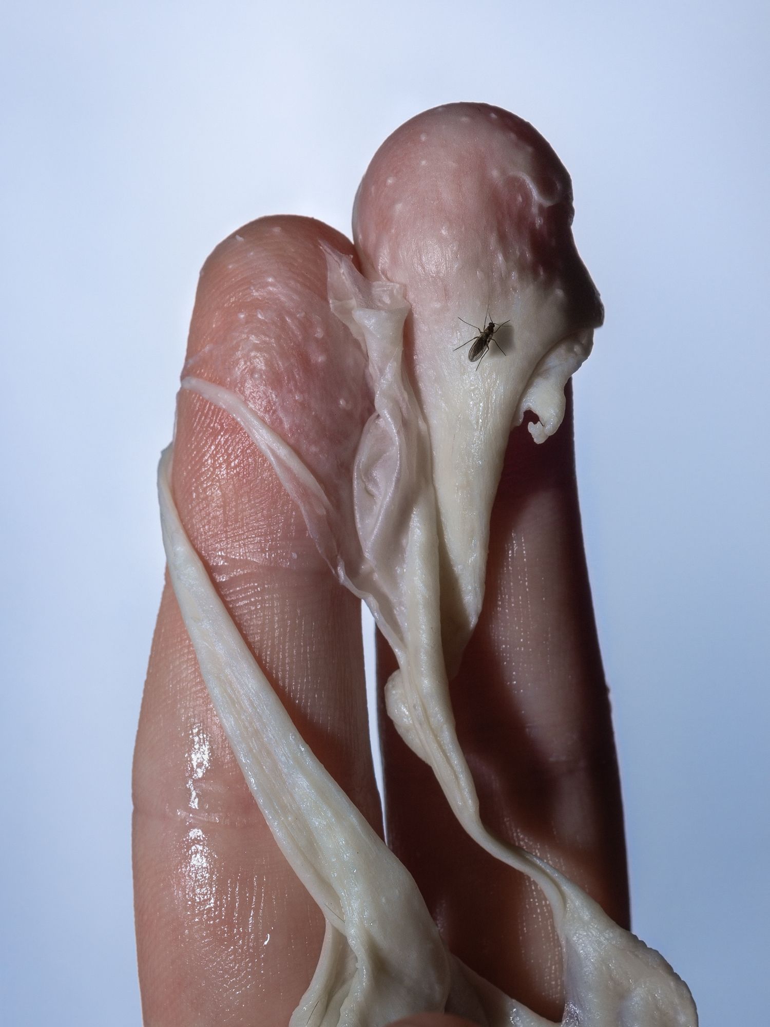 Images may contain body parts fingers human baby food meat and lamb