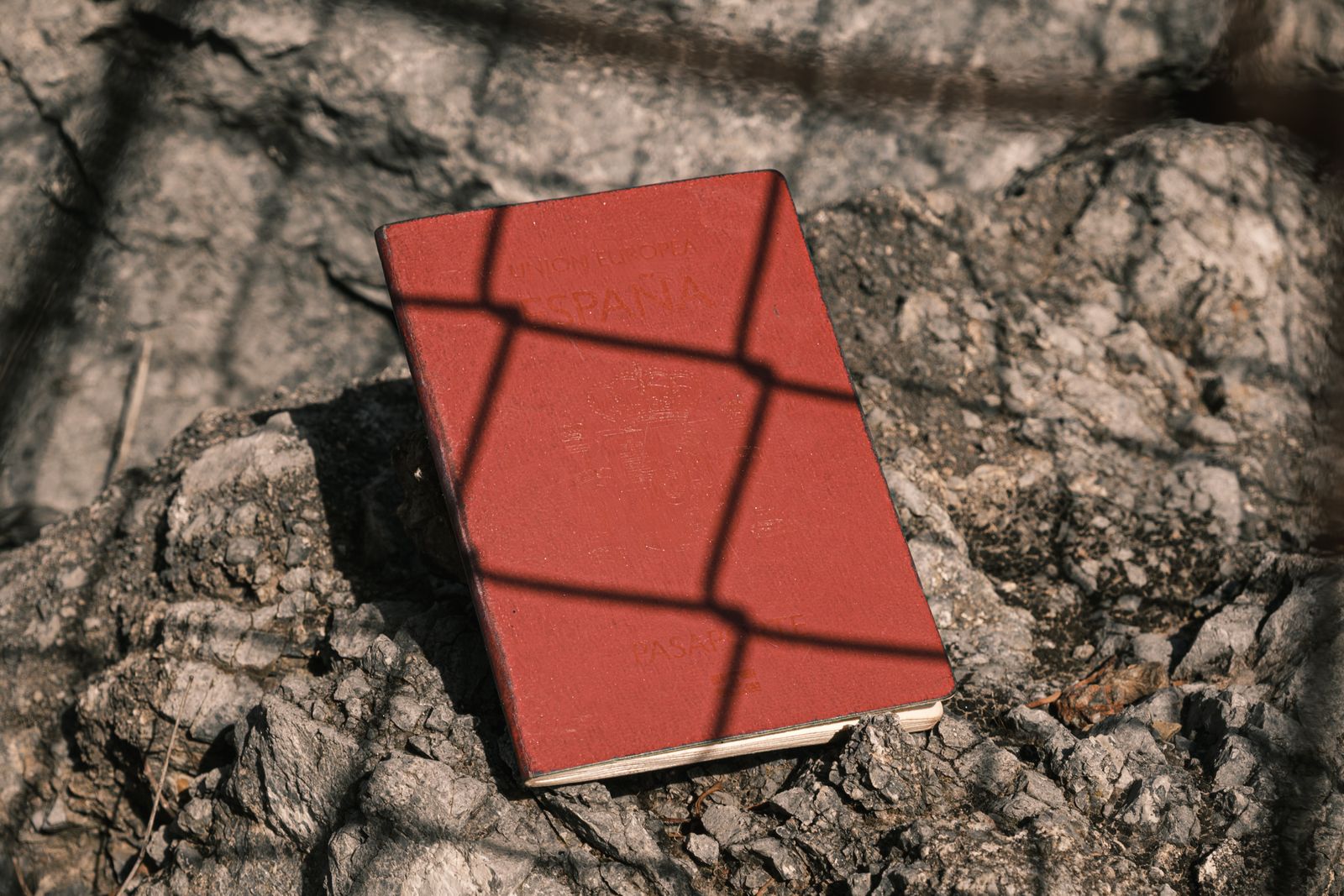 Images may contain book publications rocks and diaries