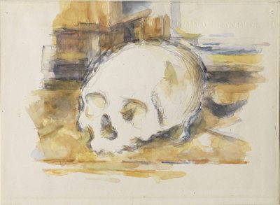 Watercolor sketch of skull.