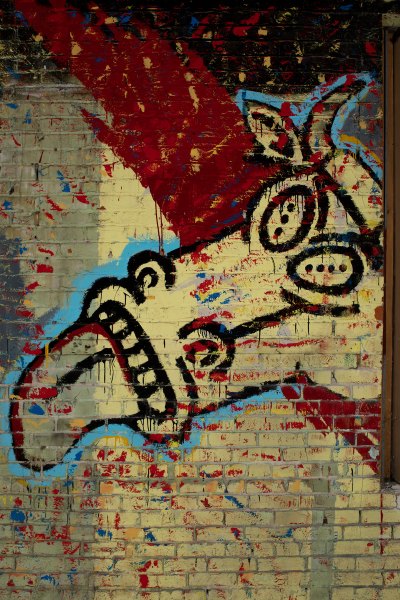 The mural on the brick wall, with cows stuck out on it, and the tongue sticking out. 