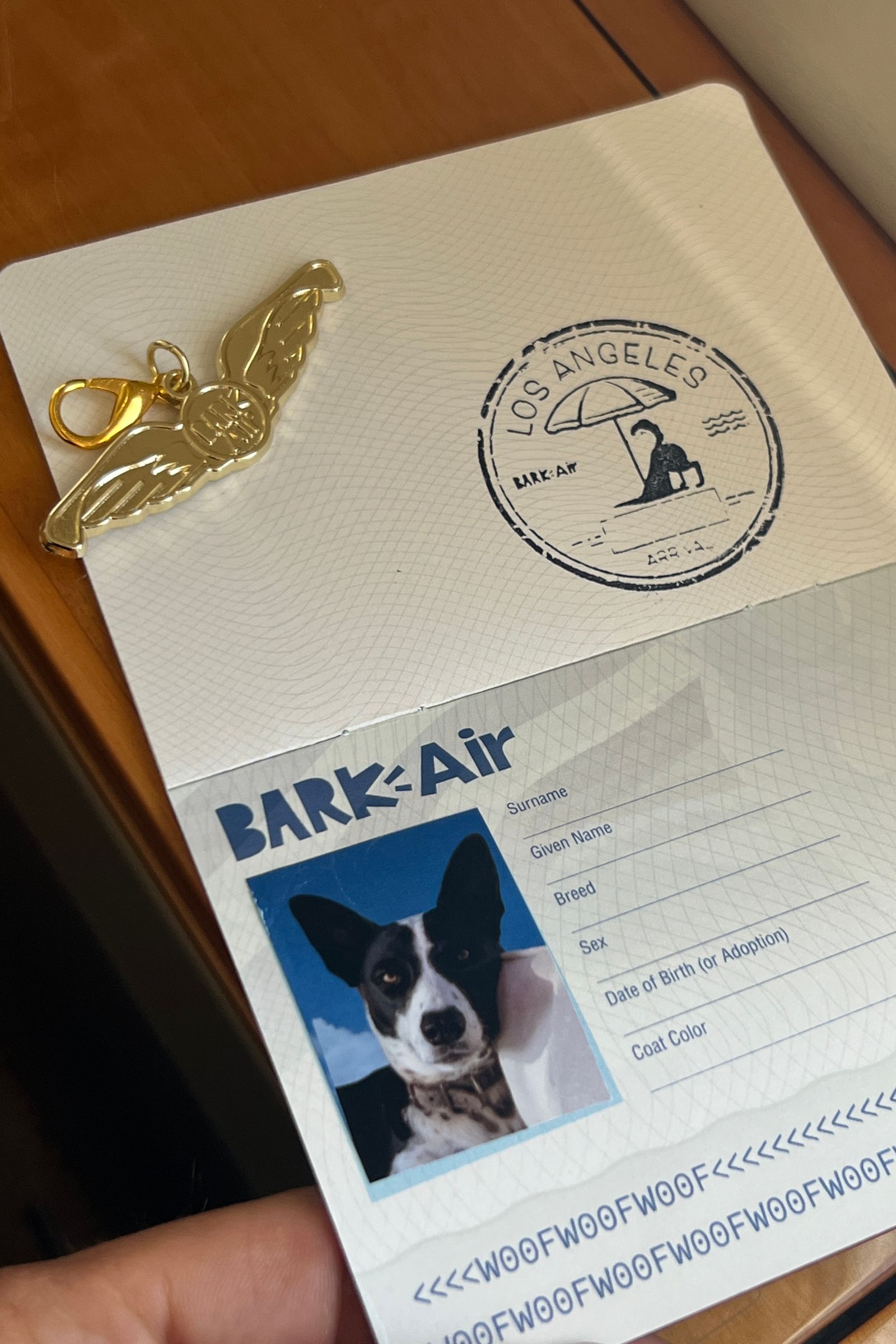 Images may contain text animals, dogs, mammals, pets, babies and files