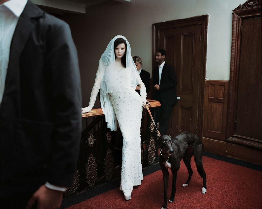 Images may contain adult wedding outfit formally wearing suits animal dog dog mammal pet shoes and shoes
