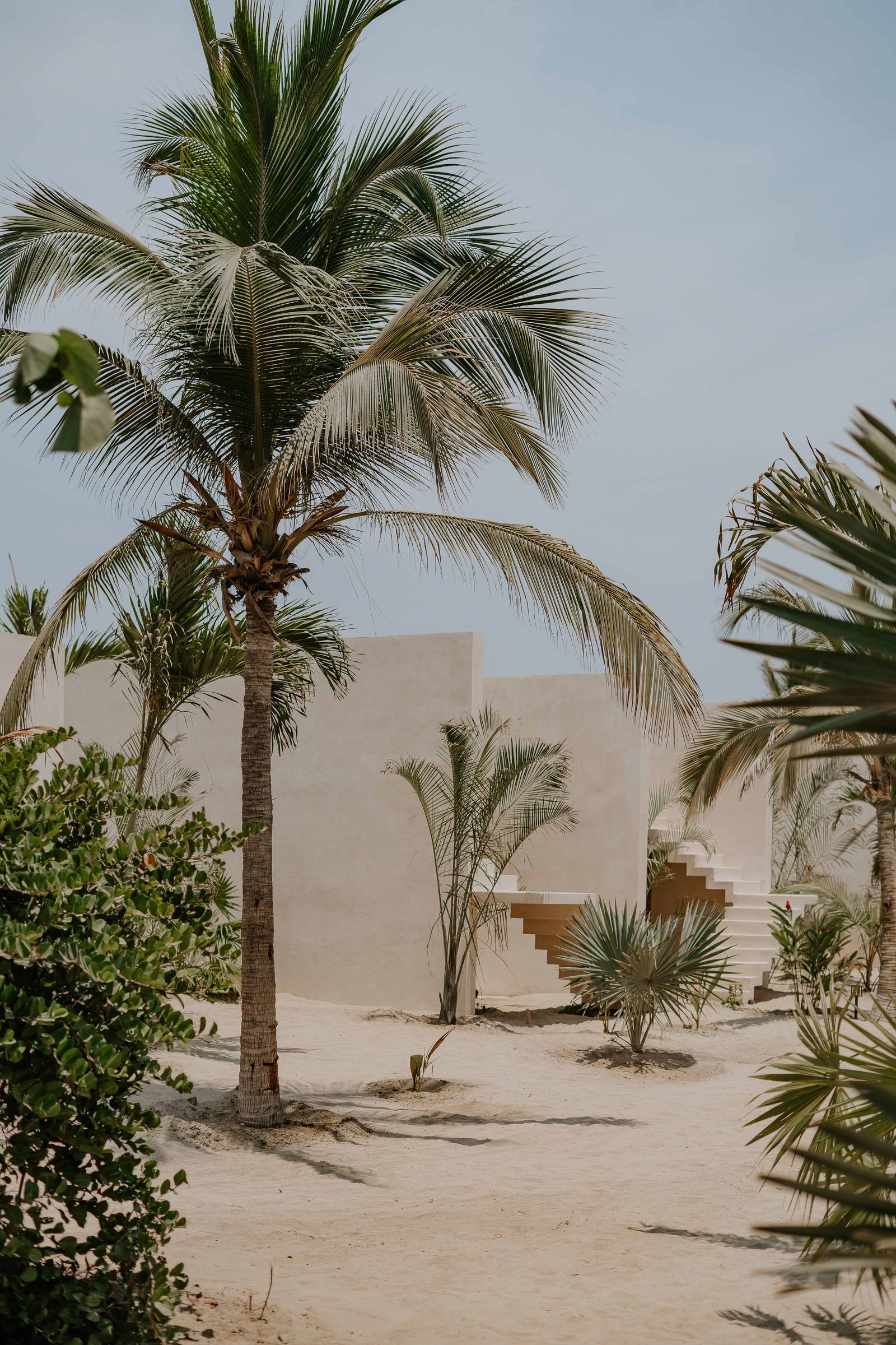 Images may contain summer palm trees plant trees building building house housing villa vegetation and outdoor