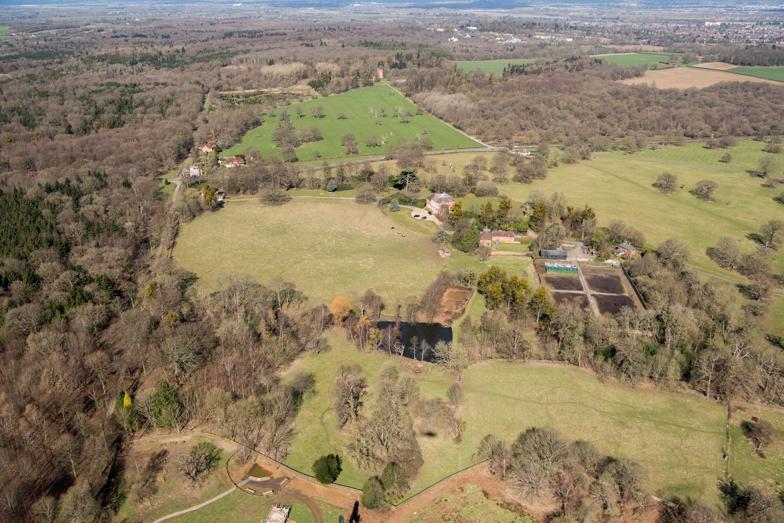 Images may contain outdoor land plant vegetation rural trees forest land rural aerial view and farm