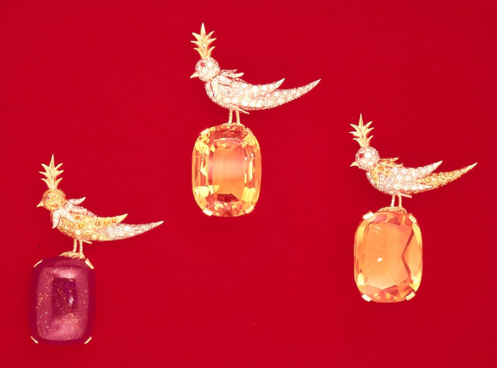 Images may contain jewelry animal bird earrings and crystals