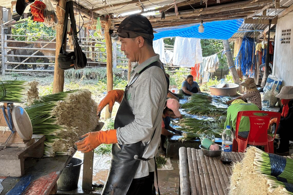 In the heart of Thailand's rural heartland, former Taksin loyalists calculate the cost of the country 