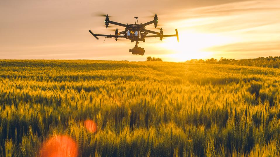 Drones fly over the fields at sunset