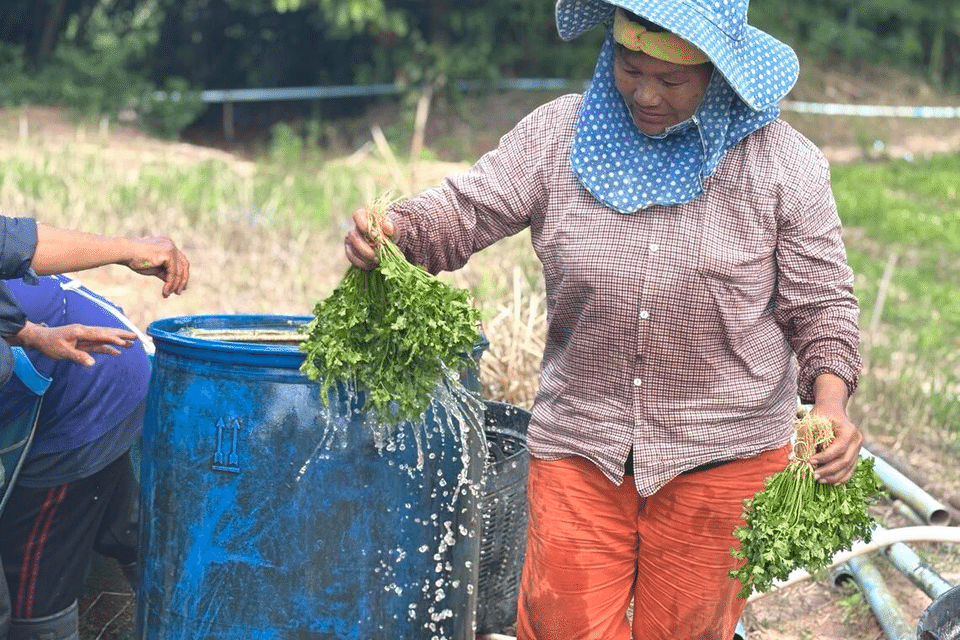 In the heart of Thailand's rural heartland, former Taksin loyalists calculate the cost of the country 