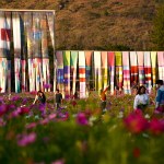 In the photos of people outdoors, flowers look at large installations, mainly made of strips of paper.