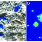 Results of pixel analysis of Paleolithic stone from Murheim-Diert, Germany, show traces of blue mineral pigments.