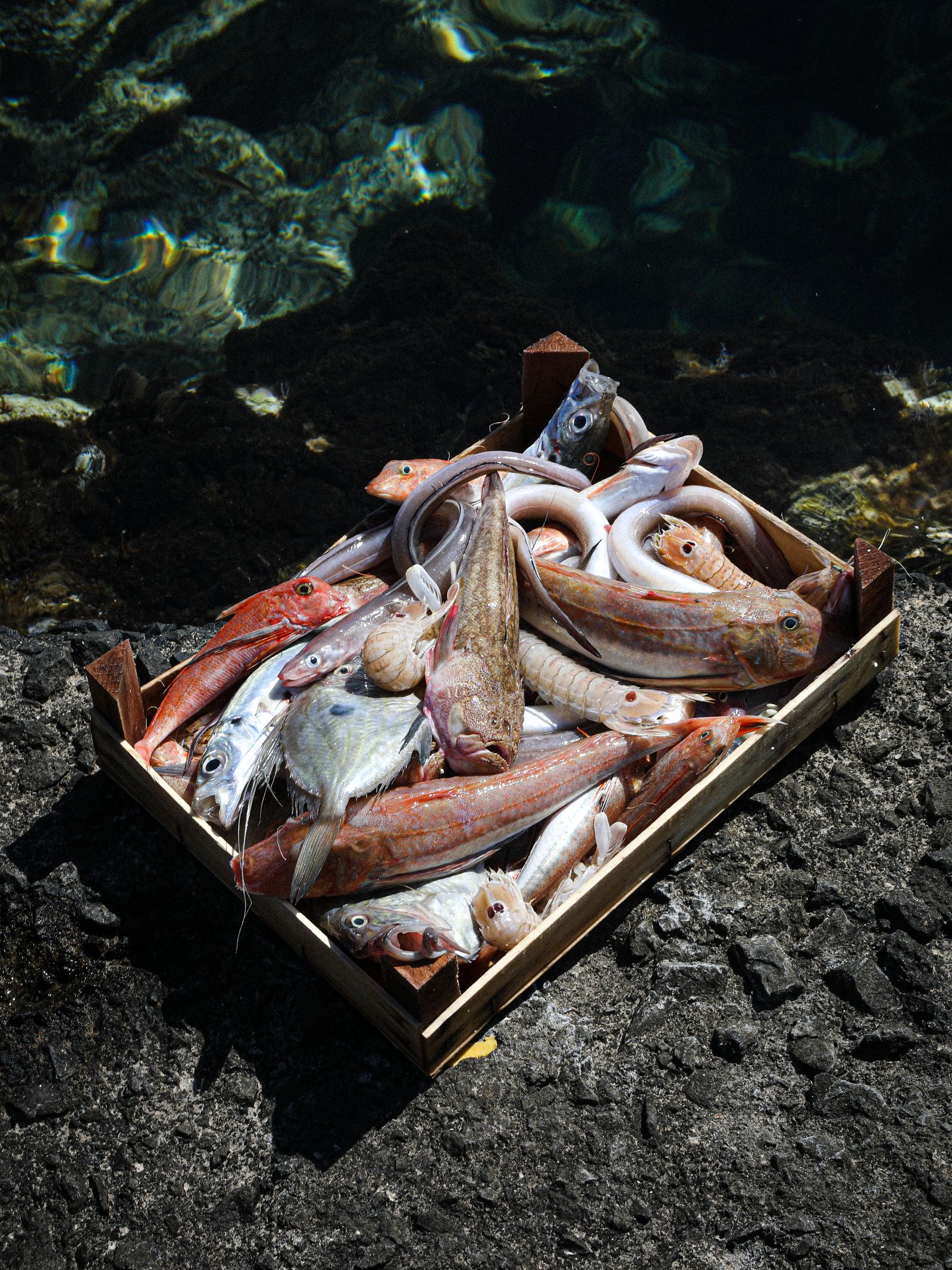 The most untamed island of the Mediterraneans is creatively awakened