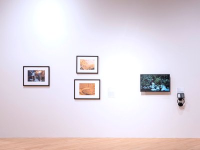 A photo, two drawings and a video hang on the museum's wall. 