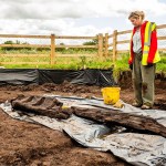 The Gortnacranagh statue was unearthed in 2021 from the Roscommon Marshes in Ireland.