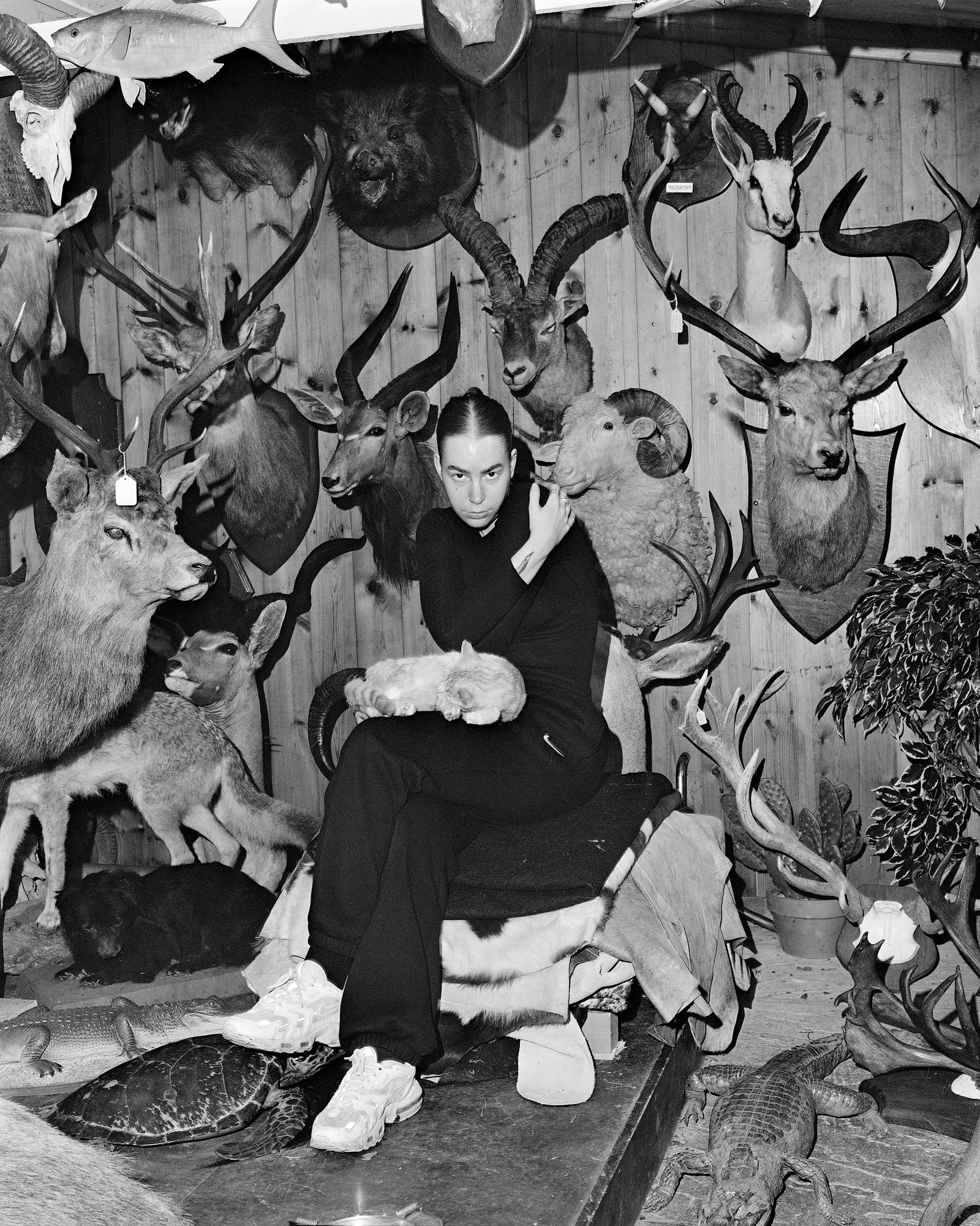 Trophies in the pool house