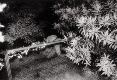 Kohei Yoshiyuki (Japan, 1946-2022) Untitled, from the Park series, 1971