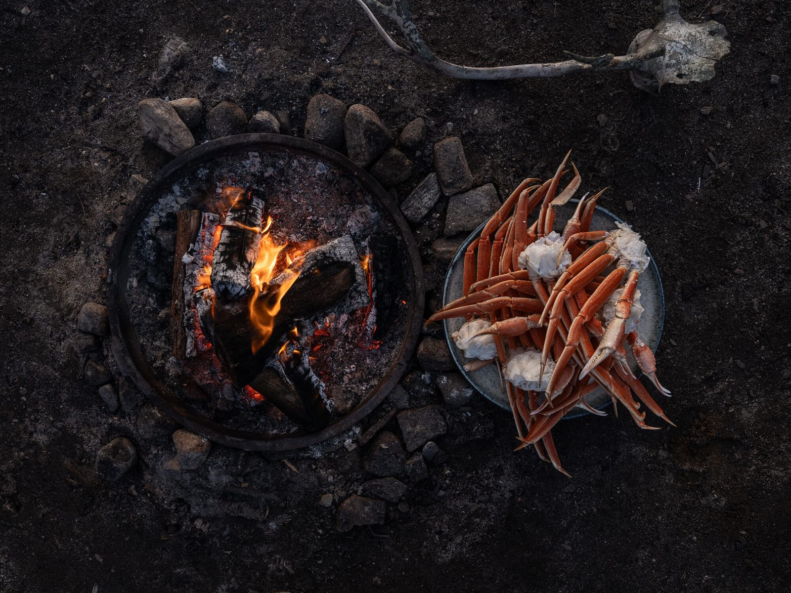 Image may contain animal food, invertebrates, lobster, sea life, seafood, fire and flames